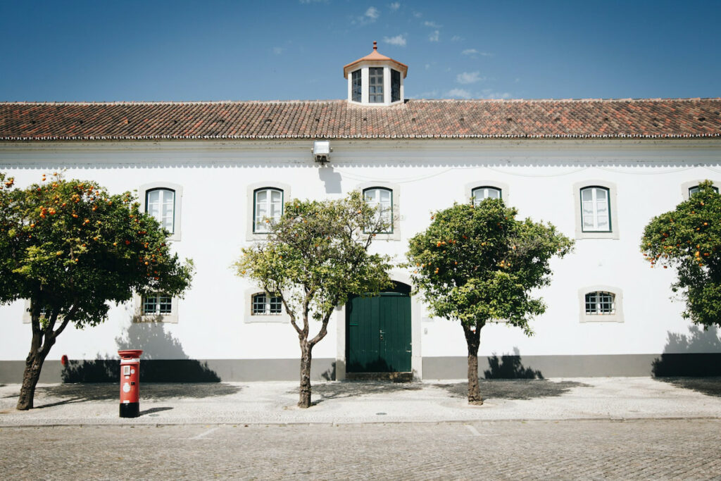 historical whitewashed buildings with tiled roof and orange trees line a street in best Algarve town of Faro