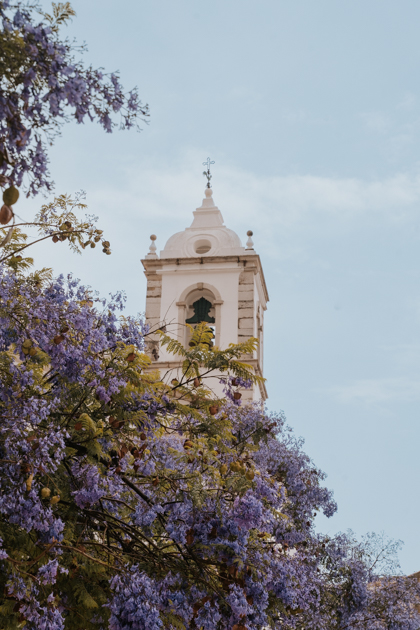 purple flowers in front of a gothic Lagos cathedral tower