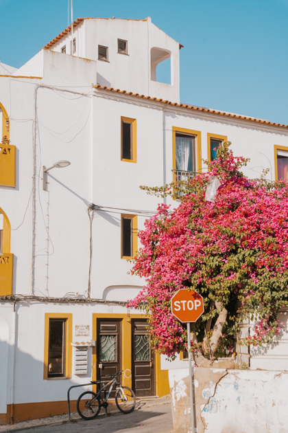 pink flowering bush draps on a wall in Carvoiero with red stop sign and white buildings with yellow trim behind in best place to stay in Algarve