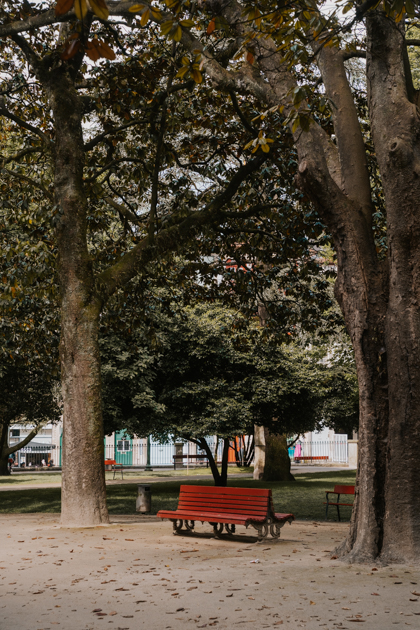red bench in a garden with tall trees in the best location Porto has for young travellers