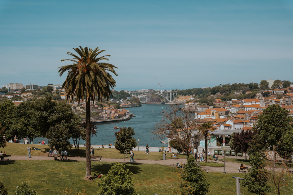 green space with concrete walking path and palm tree overlooking a river and red tile roof homes in Porto Portugal
